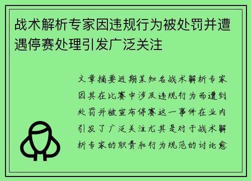 战术解析专家因违规行为被处罚并遭遇停赛处理引发广泛关注