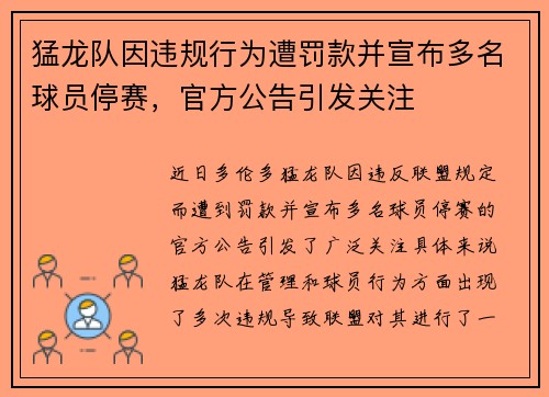 猛龙队因违规行为遭罚款并宣布多名球员停赛，官方公告引发关注